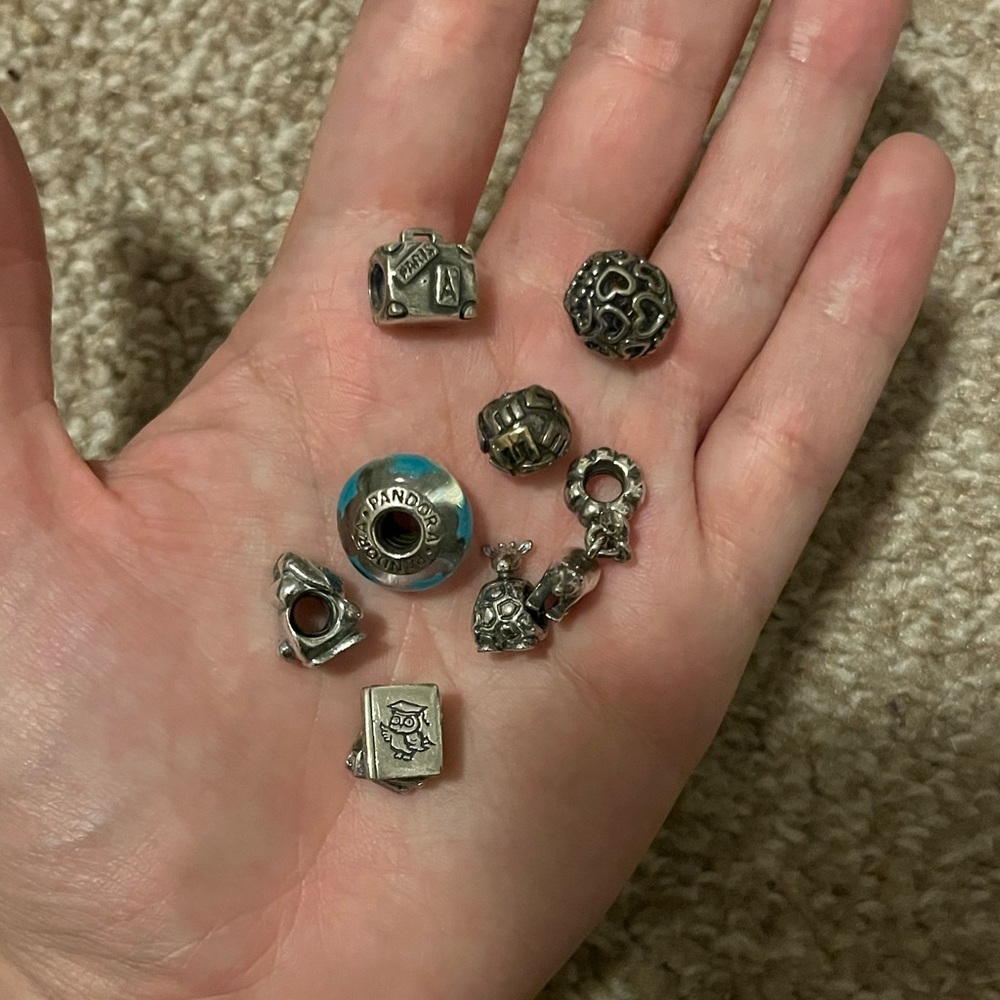 Pandora Charm Lot (8 Charms)